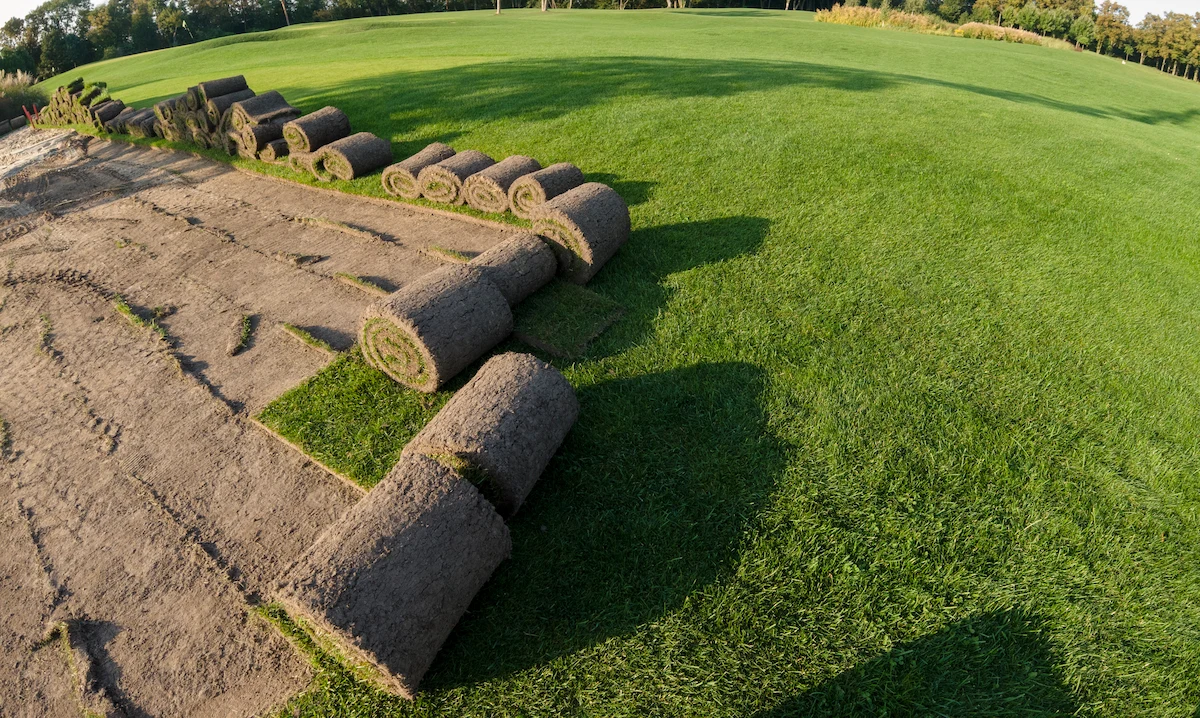 business insurance for sod installation